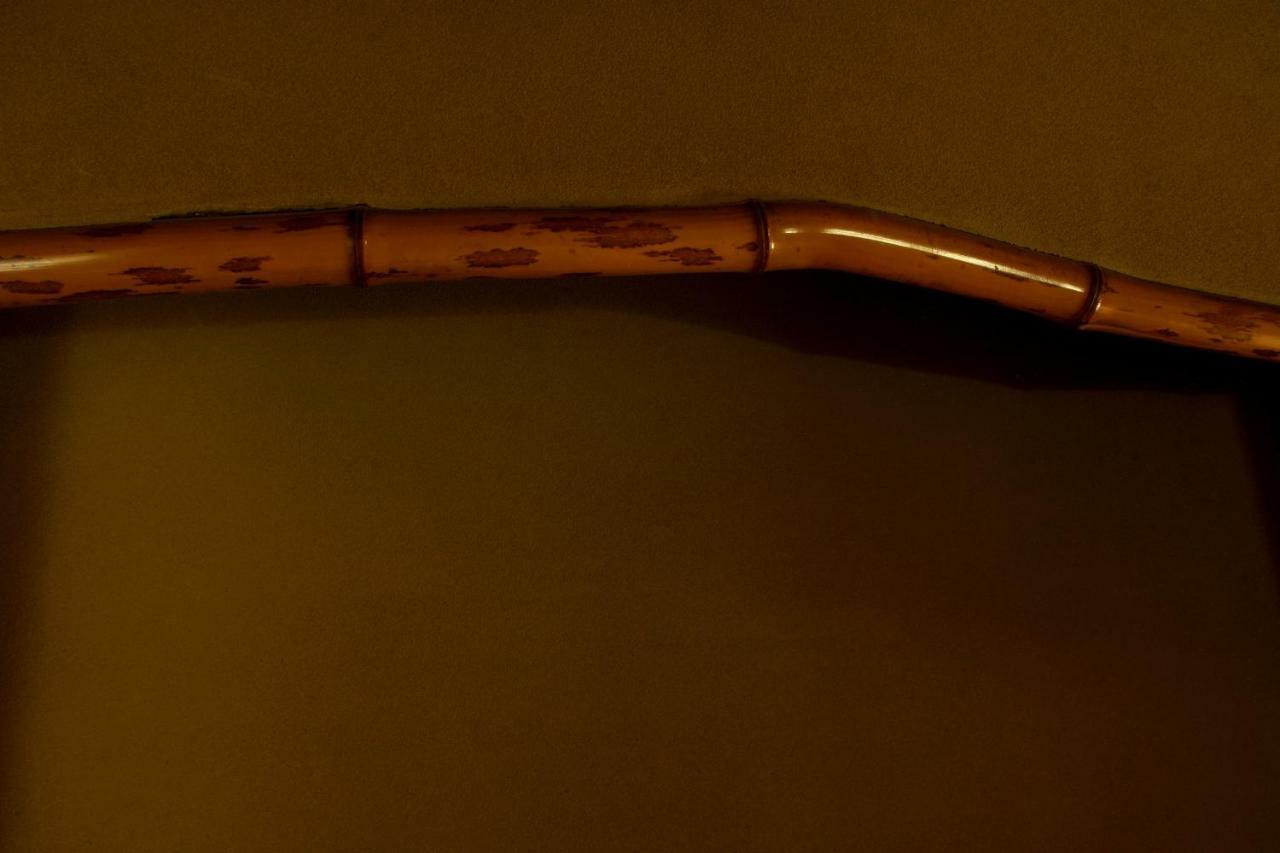 Guesthouse Tenkai Kioto Zewnętrze zdjęcie